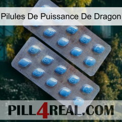 Dragon Power Pills viagra4
